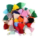 Handgemachte Baumwolle Quaste Anhänger,2cm Mini Bunte Troddel Quasten für Ohrringe Tasche Basteln Schlüsselanhänger Riemen Dekor Schmuckherstellung Lesezeichen Souvenirs,DIY Handwerk Zubehör, 50 Stück