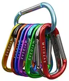 Karabiner mit gefederter Verschluss, 10er Set 80mm große Karabinerhaken aus hochwertigem Premium Alu für Camping, Wandern …