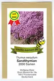 Sandthymian – Thymus serpyllum – hervorragender, duftender Bodendecker – 2000 Samen