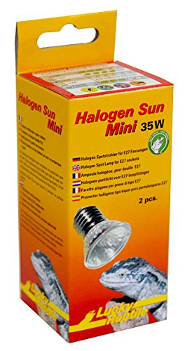 Lucky Reptile Halogen Sun Mini Doppelpack - 35 W Wärmestrahler für E27-Fassungen - Halogenstrahler für Reptilien - Terrarium Lampe mit Tageslichtspektrum - Wärmelampe für kleine Terrarien, Silber