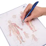 3B Scientific Akupunktur-Meridian-Notizblock, Englisch