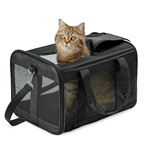HITSLAM Faltbare Hundebox, Schwarz