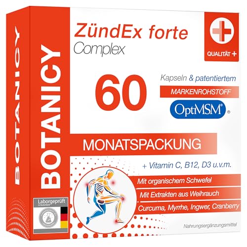 ZÜNDEX FORTE COMPLEX - 60 MSM Kapseln Hochdosiert - OptiMSM, Boswellia Serrata Weihrauch, Curcuma, Myrrhe, Ingwer, Cranberry, Vitamine, Spurenelemente