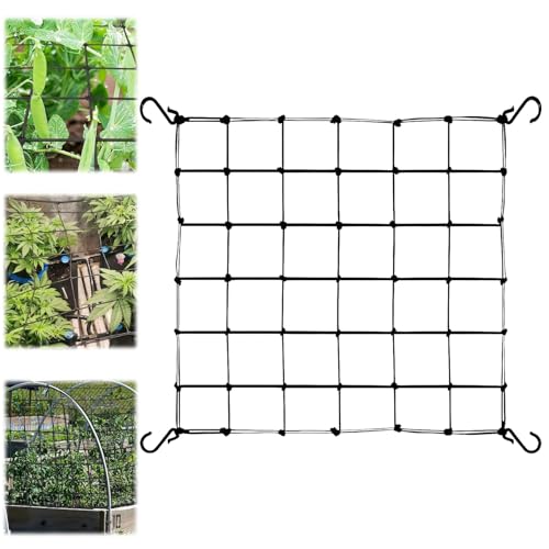 Scrog Netz 60x60 cm Pflanzennetz Elastische Ranknetz für kletterpflanzen Gartennetze mit 4 Haken Ranknetz für Pflanzen, Gemüse, Früchte, Blumen