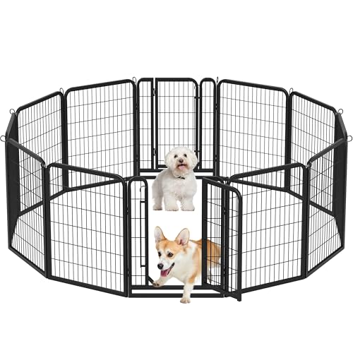 Yaheetech 12-teilig Welpenlaufstall 80cm hoch, Welpenauslauf mit 2 Türen, faltbares Freilaufgehege, Automatische Verriegelung, Tierlaufstall für Wohnung & Garten