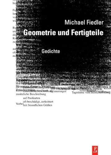 Geometrie und Fertigteile: Gedichte (Reihe Neue Lyrik)