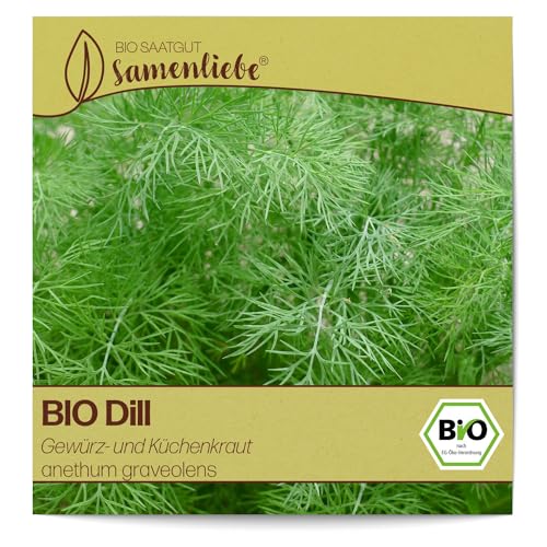 Samenliebe BIO Dill Samen alte Sorte Gewürz- und Küchenkraut aromatische Küchenkräuter Wildkräuter grün gelb 500 Samen samenfestes Kräuter Saatgut für Küche indoor und Balkon Garten BIO Kräutersamen