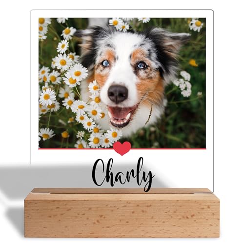 Personalisiertes Foto Geschenk für Hundebesitzer: Acrylaufsteller mit eigenem Bild, Geschenke für Hundeliebhaber Gedenktafel Haustiere- Acrylglas inkl. Holzsockel - 15x18 cm (Herzlinie)