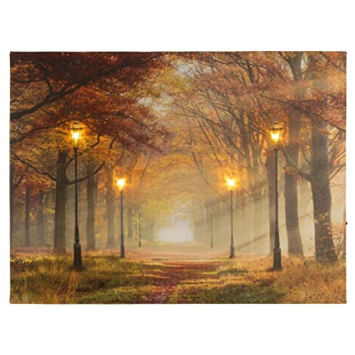 Nexos Trading LED Wandbild Leinwandbild mit Beleuchtung Fotodruck Allee im Herbst 30 x 40 cm 4 LED warm weiß Timer Kunstdruck Leuchtbild Wiese Vintage-Stil Waldweg