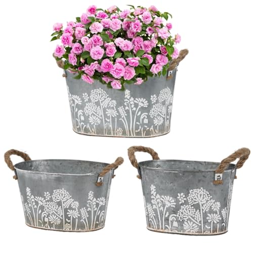 JUJOYBD Vintage Blumentöpfe Set Outdoor, 3-teilig, Pflanzenkübel aus Verzinktes Metall mit Seilgriffen, Blumeneimer Kräutertopf für Küche, Balkon & Garten,19/22,5/26 cm