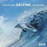 Dolphins/Delfine 2025: Kalender 2025 (Artwork Edition)