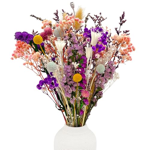KAOHONG 39 Stück Trockenblumen Deko Set Natürlichen Strohblumen Trockenblumenstrauß Getrocknete Blumen Trockenblumen Deko für Wohnzimmer Haushalt Hochzeit und Tischdeko