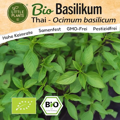 Little Plants BIO Thai-Basilikum Samen 500 Thai-Basilikumsamen Kräutersamen für Kräutergarten Hochbeet Samenfest Kräuter Samen für Küche, Balkon und Garten Küchenkräuter
