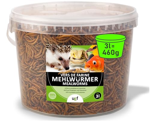 UGF - Premium Mehlwürmer getrocknet 3 Liter Eimer - 460g, Vogelfutter Wildvögel Ganzjährig, Igelfutter, Eichhörnchen Futter, Hamster Futter