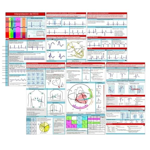 EKG Basic Set 2025 (2er Set) - Diagnostik & Ableitungen, Herzrhythmusstörungen, Doppelseitige, Dreifach Gefaltete EKG-Rhythmus-Interpretationskarte, 30x15 cm