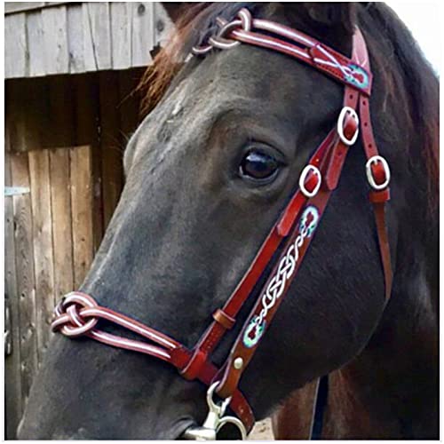 FHXYZ English Horse Trensenzaum - Verstellbare Reittrensen aus Leder - für Pferde, Pferdehalfter für Outdoor-Pferdezubehör und Pferderennausrüstung (Rot)