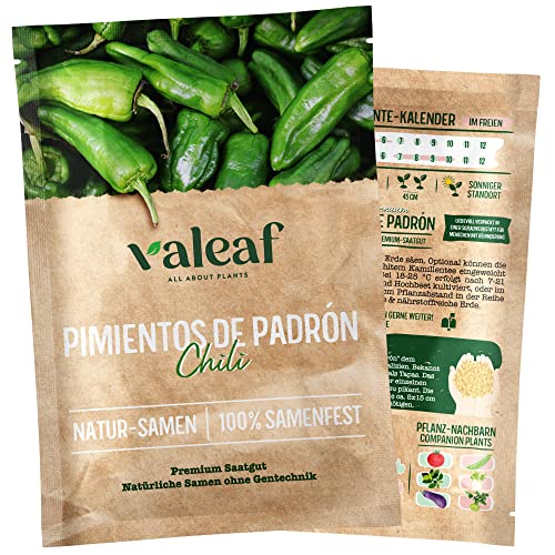 valeaf Chili Samen I Premium Chilisamen zur Chili Anzucht I Von scharf bis mild I Chili-Vielfalt als samenfestes Chili Saatgut I Pflanzen Samen zum Chili Pflanzen (Chili "Pimientos de Padrón")