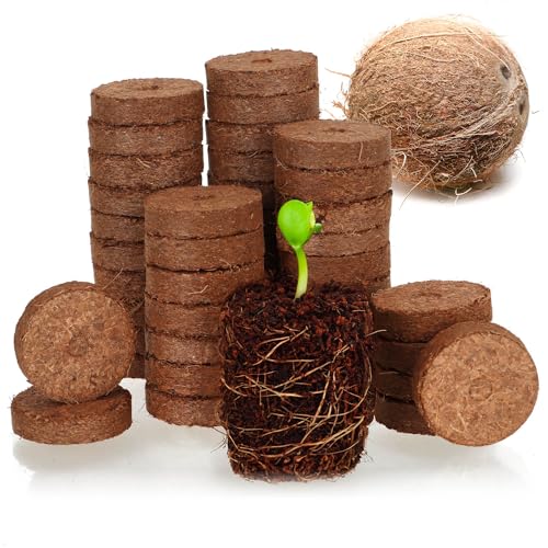 com-four® 50x Kokosquelltabs - Anzuchtunterstützung für Pflanzensamen - biologisch abbaubare Kokosscheiben - Anzuchthilfe aus Kokosfaser - Quelltabletten