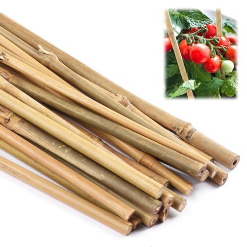 Bambusstäbe Set, 40 cm Pflanzenstütze, 20 Stück Pflanzstäbe Natürliche Gartenstützen für Tomaten, Bohnen, Blumen und Bäume, Rankstäbe für Topfpflanzen und Kletterpflanzen