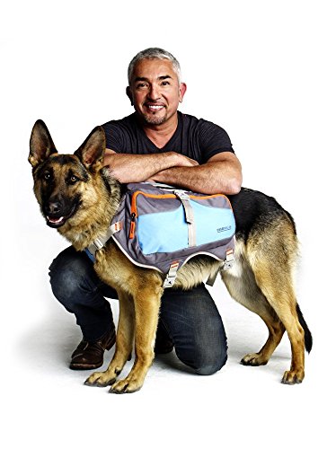 Cesar Millan Hunde-Rucksack (klein)