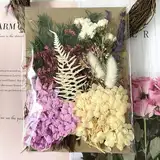 DIY-Blumenmix: Natürliche & echte getrocknete gepresste Blumen für vielseitige Verwendung - Schmuck, Nägel, Scrapbooking & DIY-Kerzenharz. Kreativität pur!