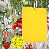 Panngu 50 Gelbtafeln für Obstbäume, Gelbsticker Trauermücken, Perfekt Gelbkarten Gegen Kirschmaden Ungeziefer in Ihrem Garten, Kirschfliegenfalle Bekämpfen Blattläuse Minierfliegen