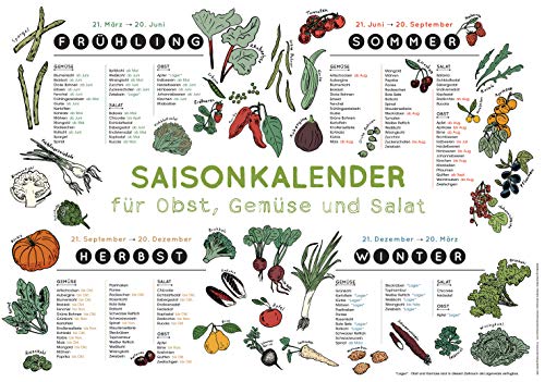 Saisonkalender für Obst, Gemüse und Salat: Was ist reif zu welcher Jahreszeit? Wandbild auf stabilem Karton zum Aufhängen mit Öse. Für alle, die nachhaltig essen u. saisonal-regional einkaufen wollen