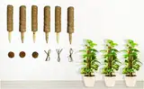 Moosstange für Kletterpflanze, Monstera, Totemstange, Moosstab für Zimmerpflanzen, Zug, Topfpflanze, Aufwärtspflanzenstange mit Gartenbinder / 850