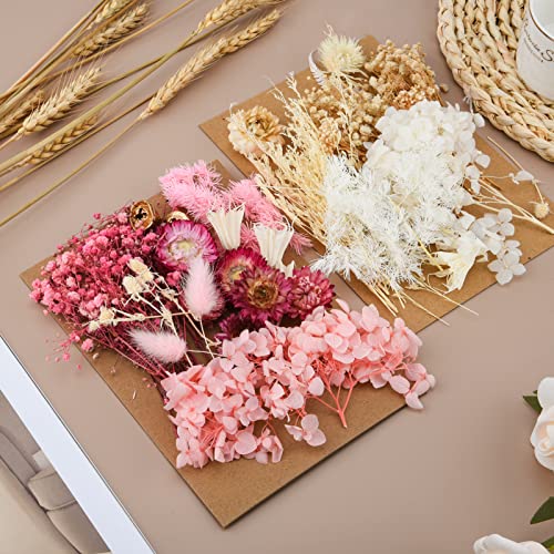 ALTcompluser Natürliche Getrocknete Blumen, Blumen Natürliche Gemischte, Trockenblumen Set, für Scrapbook Kerzen DIY künstlerische Make-up Dekoration