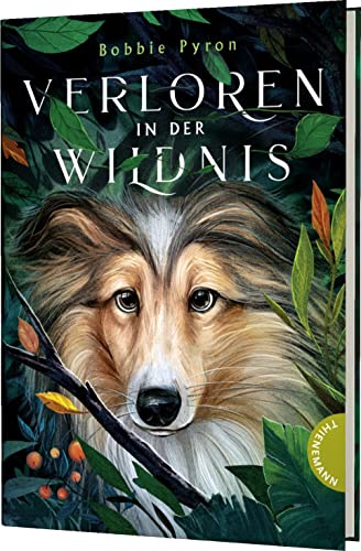 Verloren in der Wildnis: Freundschaftsgeschichte zwischen einem Mädchen und einem Hund, ab 10