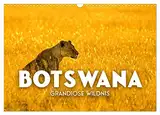 Botswana - Grandiose Wildnis (Wandkalender 2025 DIN A3 quer), CALVENDO Monatskalender