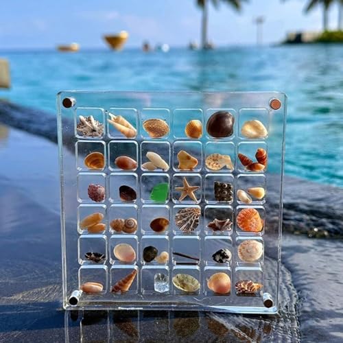 Biglumin Acrylbox - 36 Fächer Acrylbox Magnetic Seashell isplay Box Muschel sammelbox Seashell Display case Shell Display Box Aufbewahrungsbox Display-Organizer.(Klare)