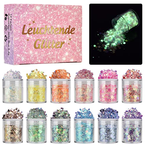 DealKits Glitzer Gesicht, 12 Farben Fluoreszierendes Chunky Sequin Festival Körperglitzer Glitzerpulver Pailletten Set Für Gesicht Nägel Augen Haare, Masquerade Party Make-Up Glitter, DIY Handwerk