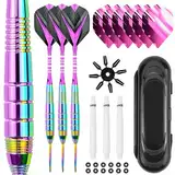 Dartpfeile mit Metallspitze 24 Gramm(Der ganze Pfeil), Profi Steeldarts mit Metallspitze Steeldarts Set mit 6 Flights 3 Aluminium Schaft 12 Anti-Lose Gummiringe, und 1 Dart Case (Purple)
