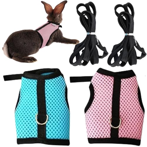 Kaninchen Leine,2 Stück Kaninchen Geschirr mit Leine,Verstellbare Katzengeschirr Kaninchen,Zwergkaninchen Katzen Geschirr,Geschirr Hasenleine,Mesh Kaninchen Geschirr,Haustier Hasen Geschirr