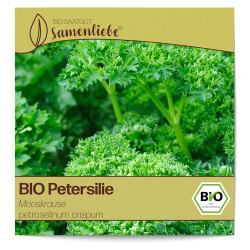 Samenliebe BIO Petersilie Samen alte Sorte Mooskrause 500 Samen samenfestes Kräuter Saatgut für Küche indoor und Balkon Garten BIO Kräutersamen mehrjährig