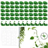 Yoosso 60 Stück Pflanzenhalter Wand, Pflanzenclips Wand Pflanzenwand Kletterpflanzen Halterung Pflanzenclips für Kletterpflanzen Plant Climbing Wall Garten Pflanzen Stängel