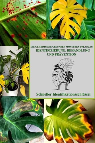 DIE GEHEIMNISSE GESUNDER MONSTERA-PFLANZEN: IDENTIFIZIERUNG, BEHANDLUNG UND PRÄVENTION: Schneller Identifikationsschlüssel