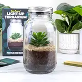 Gift Republic - Solarbetriebenes Terrarium