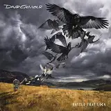 Rattle That Lock [Vinyl LP]