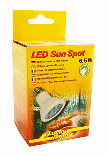 Lucky Reptile LED Sun Spot 6,5 Watt - LED Lampe für E27 Fassungen - Terrarium Lampe mit beeindruckender Lichtleistung - Lampe für Terrarien - Terrarium Beleuchtung 1 Stück