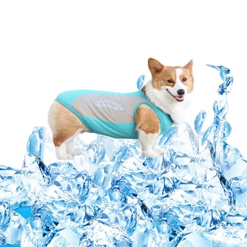 Hunde Kühlweste,Sommer Cool und Bequem Hundemantel Hund Kühljacke Kühlweste für Hunde Atmungsaktiv Mesh Haustier Kühlweste für Kleine bis Mittlere Hunde