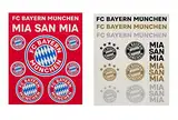 FC Bayern München 2er Set Aufkleberkarte - Schriftzüge & Logo - 21 Einzelsticker Aufkleber FCB