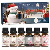 SoulOrigin Weihnachts ätherische Öle Set, Duftöl Set für Öl Diffuser, Duftöl Kerze Herstellung 6x10ml-Weihnachtskuchen, Eier, Süßigkeiten Canes, Lebkuchen, Mistel und Weihnachtspudding