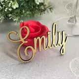 Individueller Tischkarten, Platzkarten, Namensschilder, Name für Hochzeit Deko, Tischdeko, Schriftzug Holz, Namensschriftzug aus Acryl, Laser geschnittene Namen, Personalisierter Braut Bräutigam