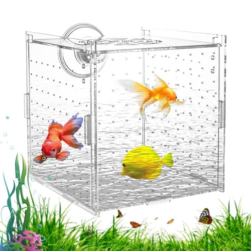 Zuchtbox Für Aquarium - Fischzuchtbox - Brutkasten Für Aquarien - Durchsichtige Brutstätte Fürr Aquarien Mit Saugnäpfen Schwimmender Trennbehälter-Inkubator Die Isolierung Und Sichere