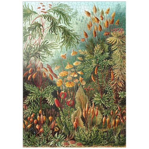 MyPuzzle Moss (Muscinae) - Kunstformen in der Natur, Vintage Art Poster, Ernst Haeckel - Premium 1000 Teile Puzzle - MyPuzzle Sonderkollektion von Havana Puzzle Company