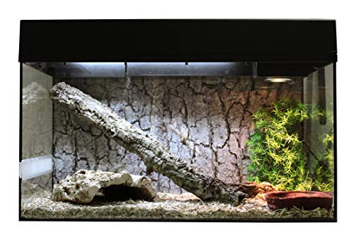 Lucky Reptile Schlangen Starter Kit 80 cm - hochwertiges Schlangen Terrarium Komplettset für die Aufzucht und Dauerhaltung von kleinen Schlangen - Starter Set Schlangen für Einsteiger in weiß