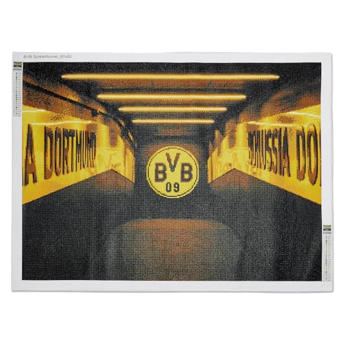 Borussia Dortmund Unisex – Erwachsene BVB Diamand Painting, Stadiontunnel, schwarzgelb, 40x50 cm Diamant, Mehrfarbig, One Size