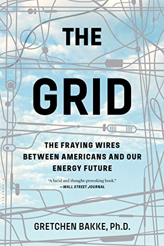 The Grid: The Fraying Wires Between Americans and Our Energy Future (English Edition)